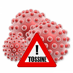 stop-tossine